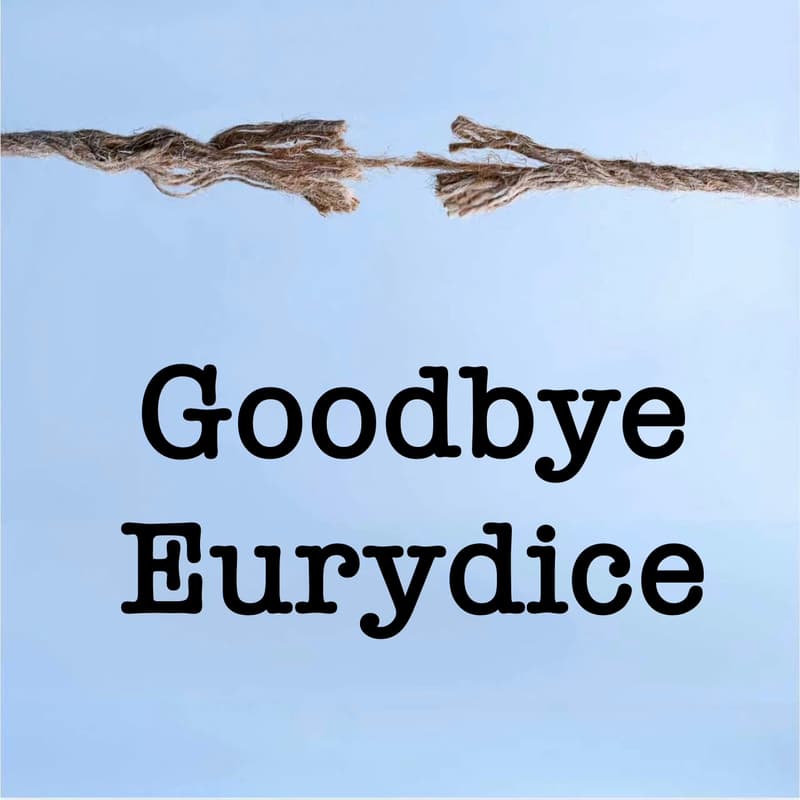 Cover Image for To the Other Shore: ChuanFest Poetry Workshop with Goodbye, Eurydice Book Launch by Wisteria Deng