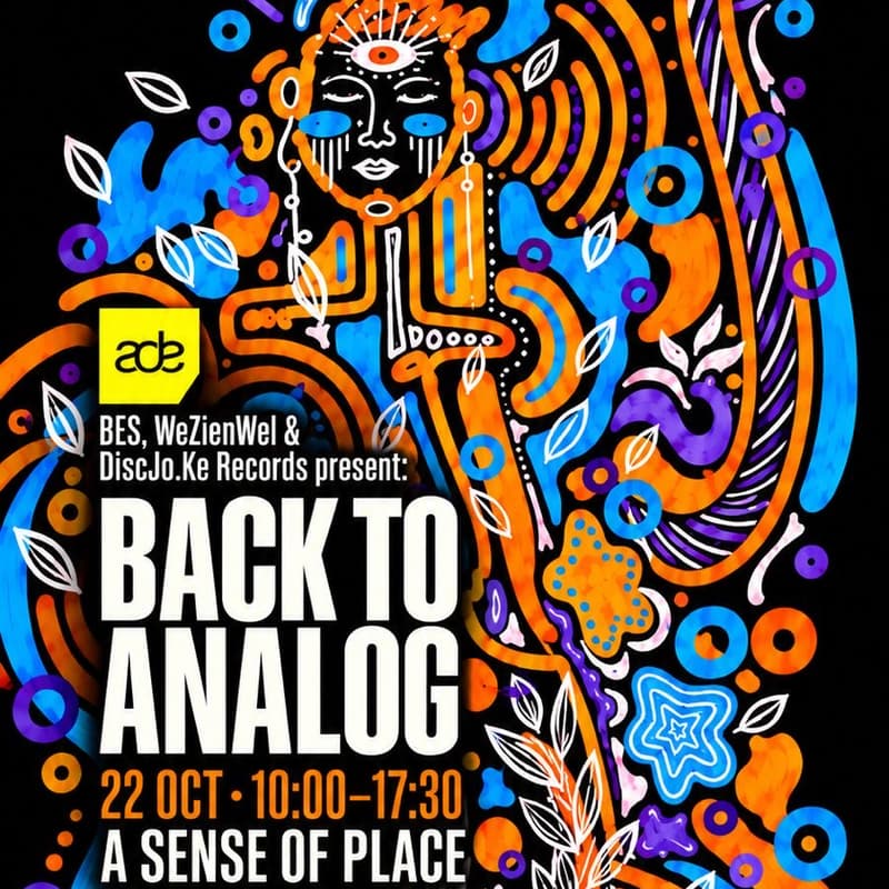 Cover Image for BES, WeZienWel & DiscJo.Ke Records present: Back to Analog