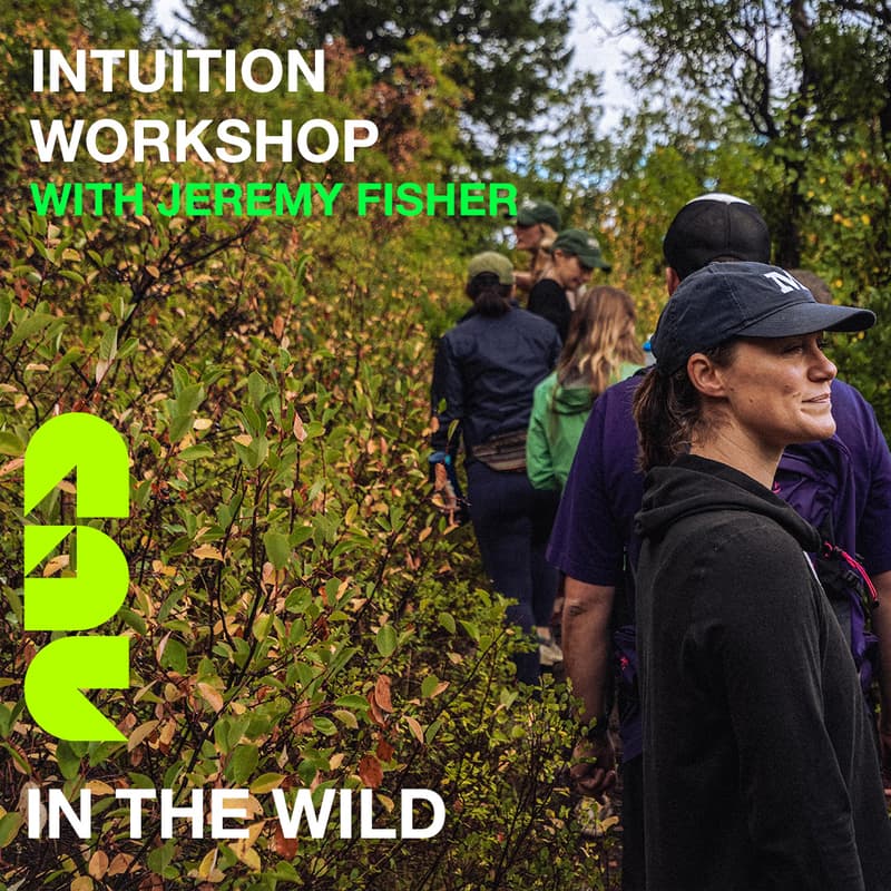 Cover Image for Intuition Workshop