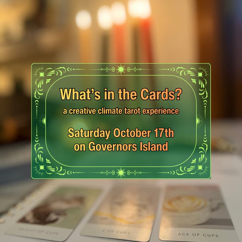 Cover Image for What's in the Cards? A Creative Climate Tarot Experience
