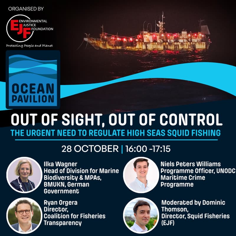 Cover Image for Out of sight, out of control: The urgent need to regulate high seas squid fishing