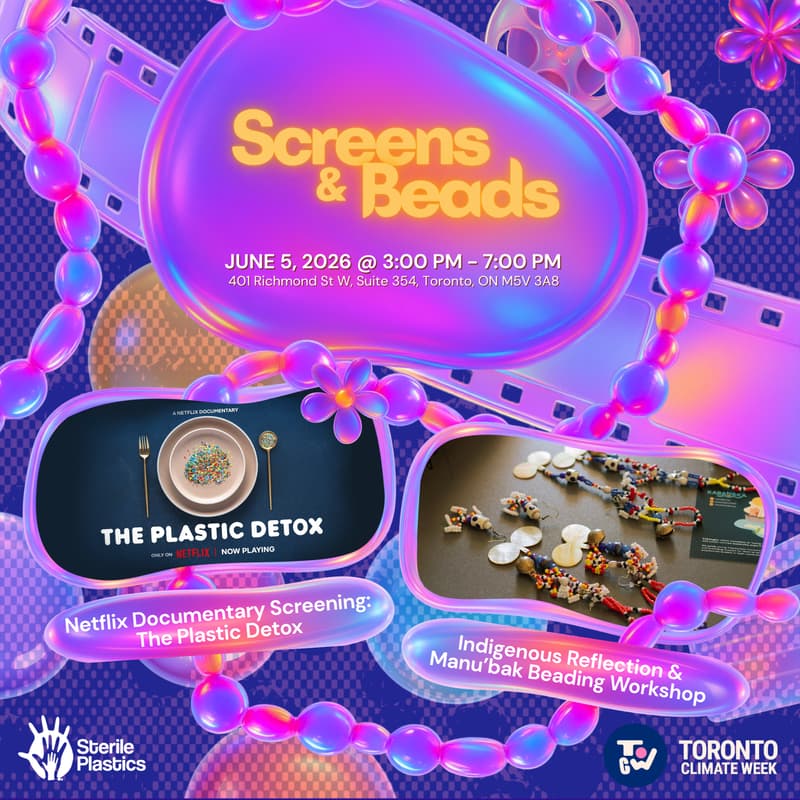 Cover Image for Screens and Beads