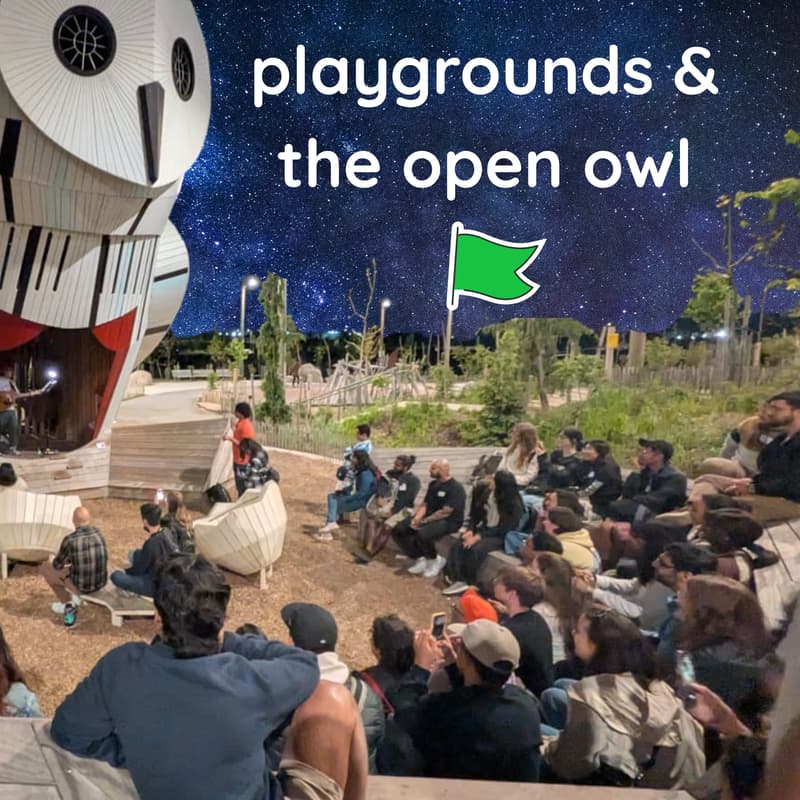 Cover Image for THE OPEN OWL + PLAYGROUNDS #2