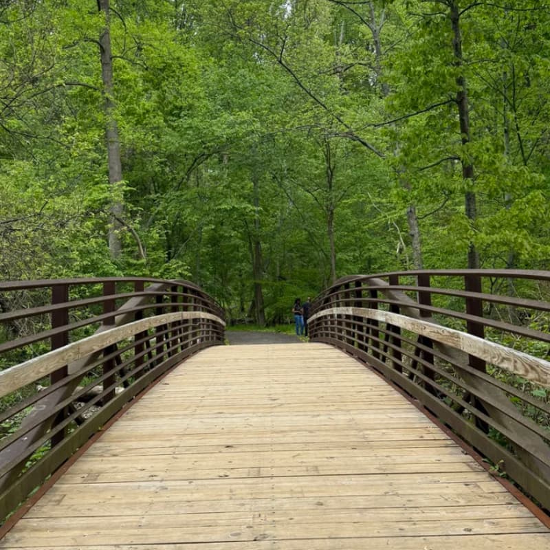 Cover Image for Creative Field Trip 6: Leakin Park