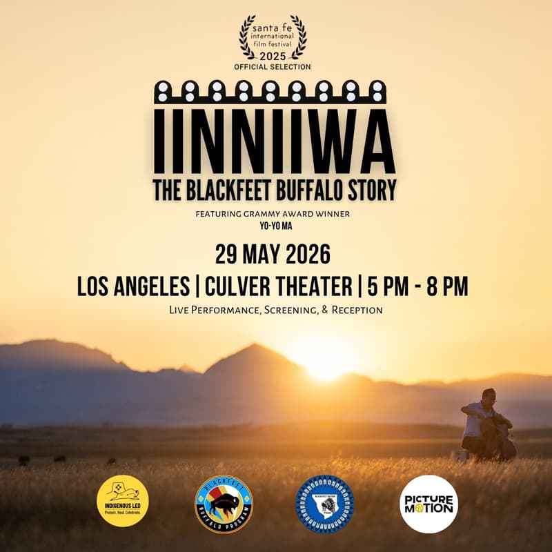 Cover Image for IINNIIWA: The Blackfeet Buffalo Story | Los Angeles