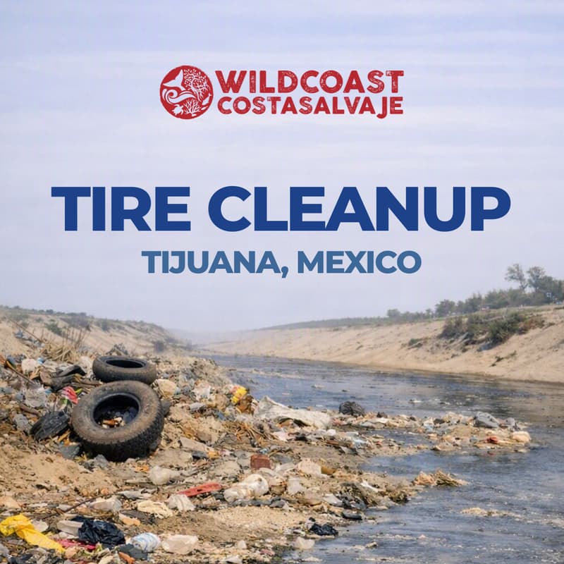 Cover Image for TAKING ACTION FOR THE TIJUANA RIVER - Tire Cleanup Day/TOMANDO ACCIÓN POR EL RÍO TIJUANA - Jornada de limpieza