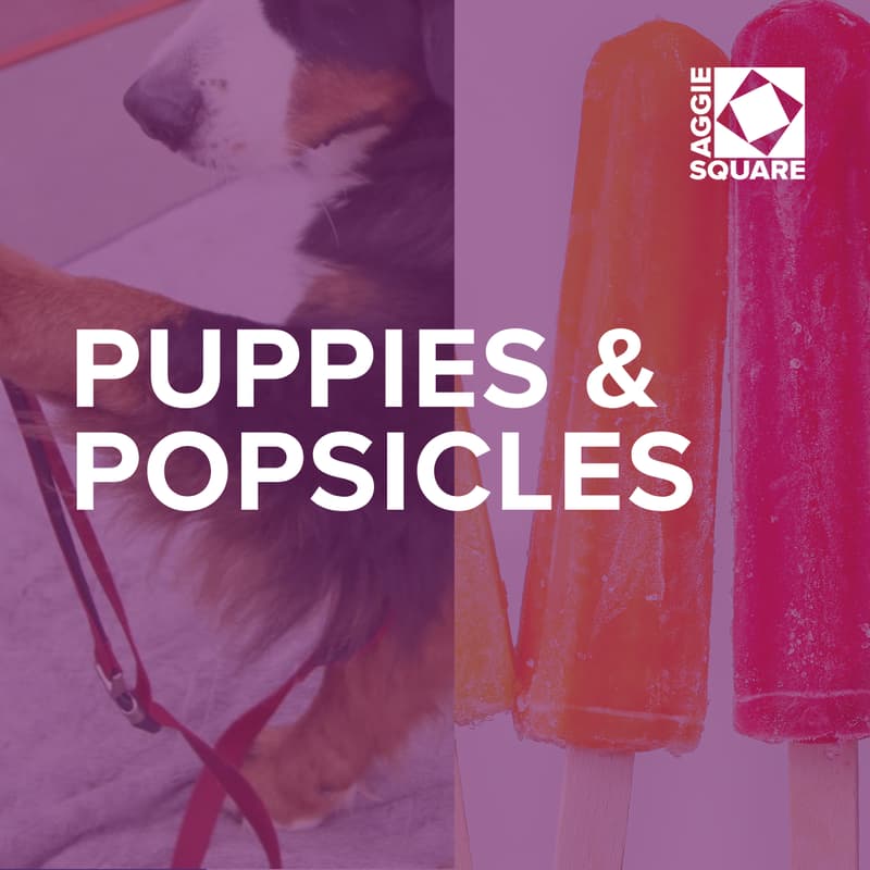 Cover Image for Puppies & Popsicles
