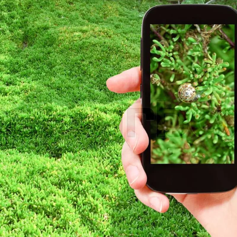 Cover Image for PDAW - Cellphone Photography workshop