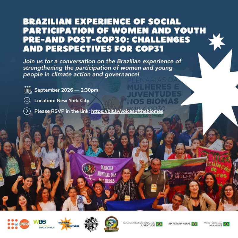 Cover Image for Brazilian Experience of Social Participation of Women and Youth Pre- and Post-COP30: Challenges and Perspectives for COP31