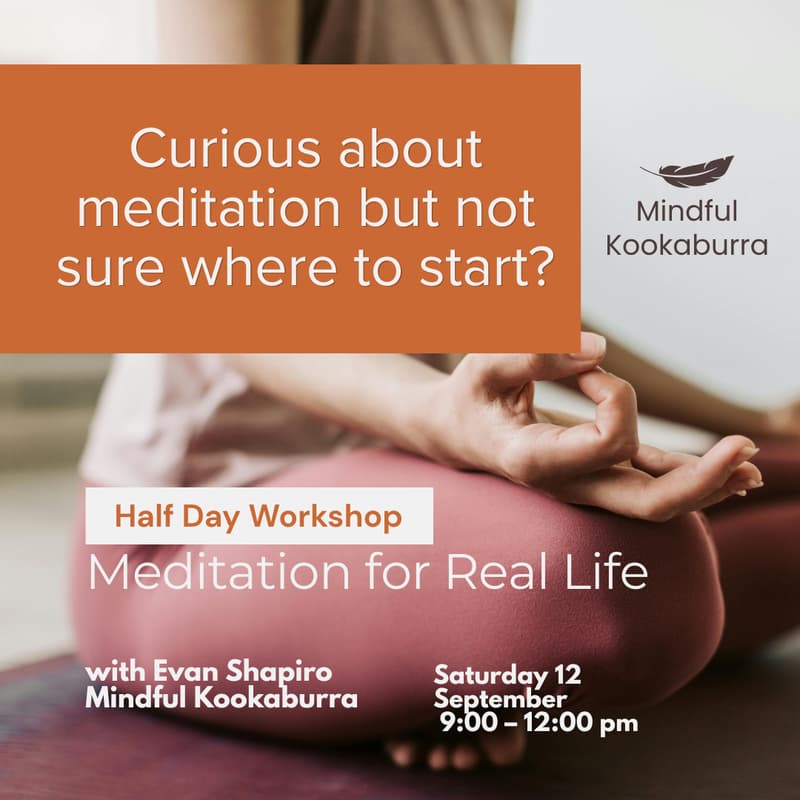 Cover Image for Meditation for Real Life