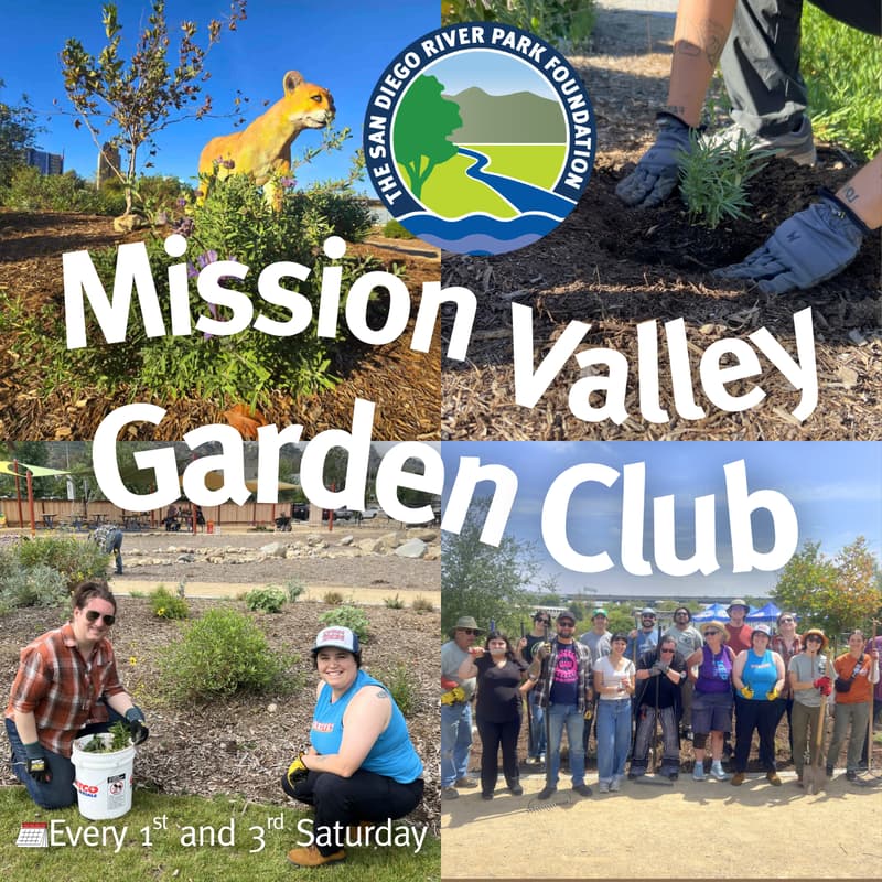 Cover Image for Mission Valley Garden Club