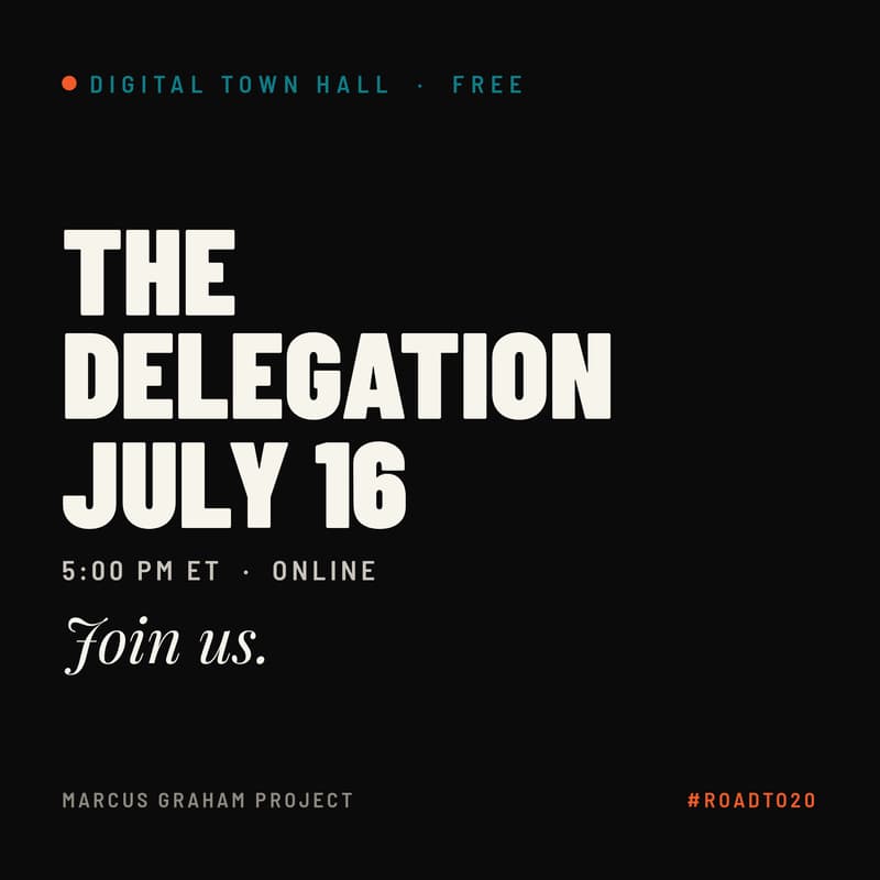Cover Image for The Delegation