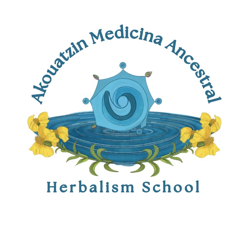 Cover Image for Open House