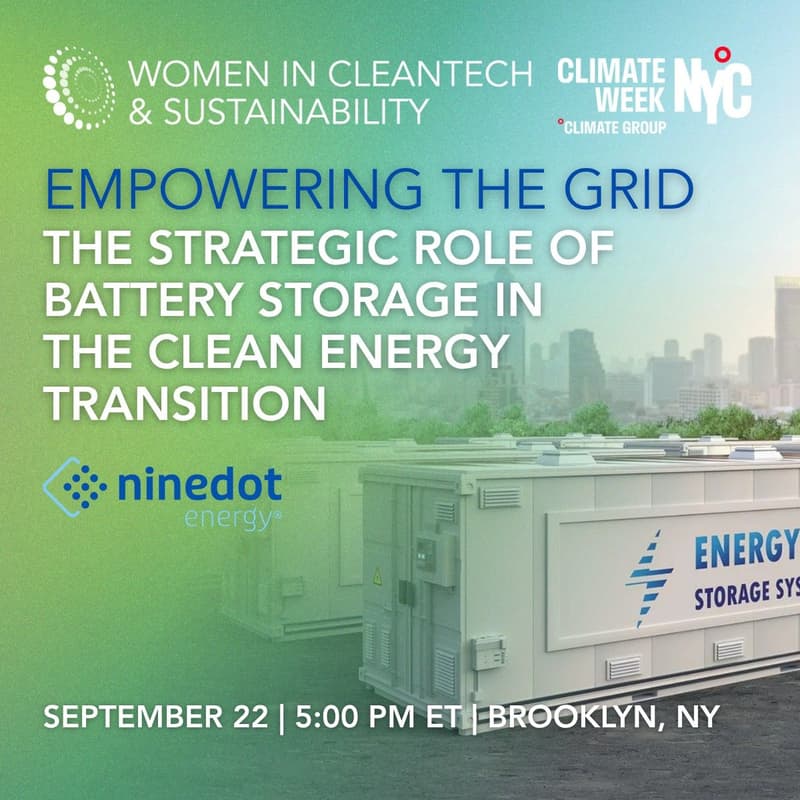 Cover Image for Empowering the Grid: The Strategic Role of Battery Storage in the Clean Energy Transition
