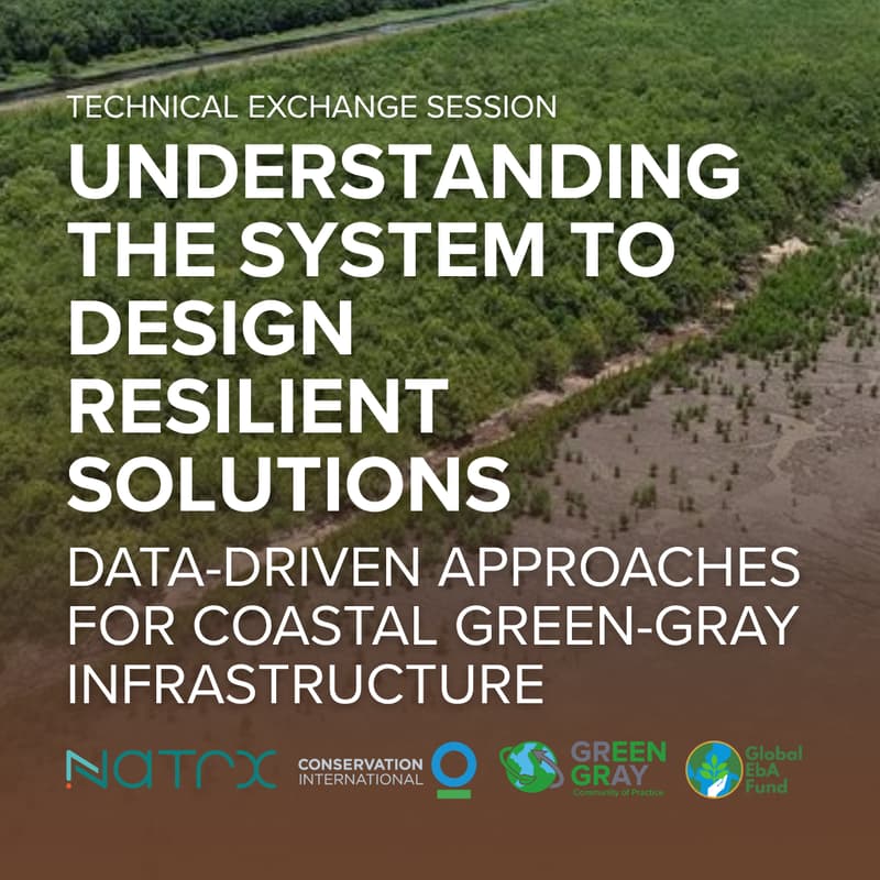 Cover Image for Understanding the System to Design Resilient Solutions: Data-Driven Approaches for Coastal Green-Gray Infrastructure