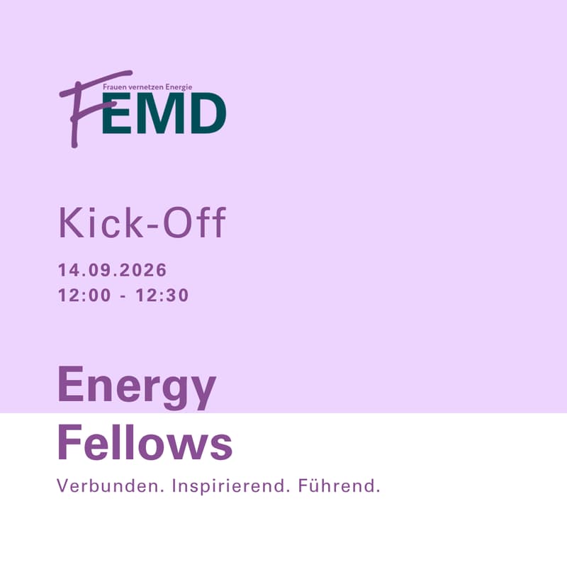 Cover Image for Energy Fellows - Kick-Off