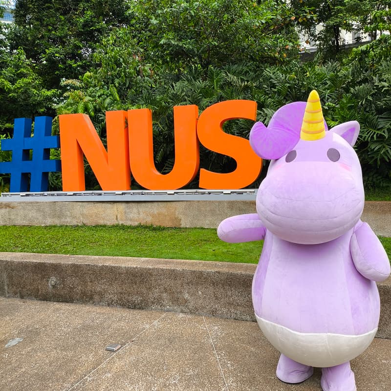 Cover Image for NUS Homecoming 2026