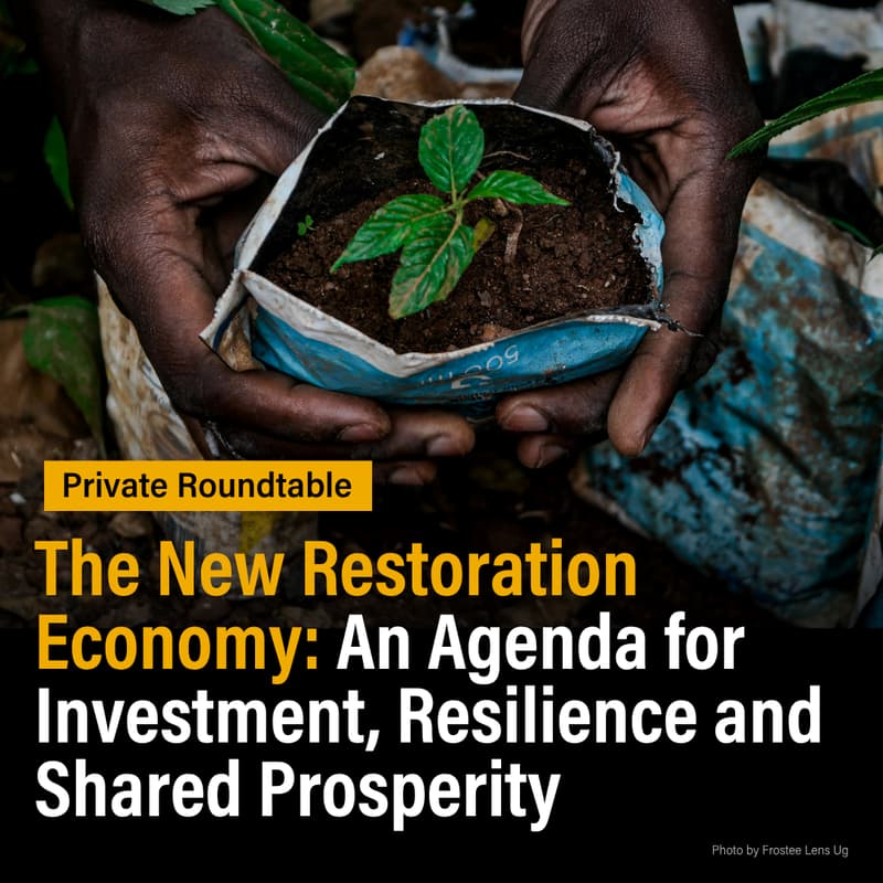 Cover Image for The New Restoration Economy Roundtable: An Agenda for Investment, Resilience and Shared Prosperity