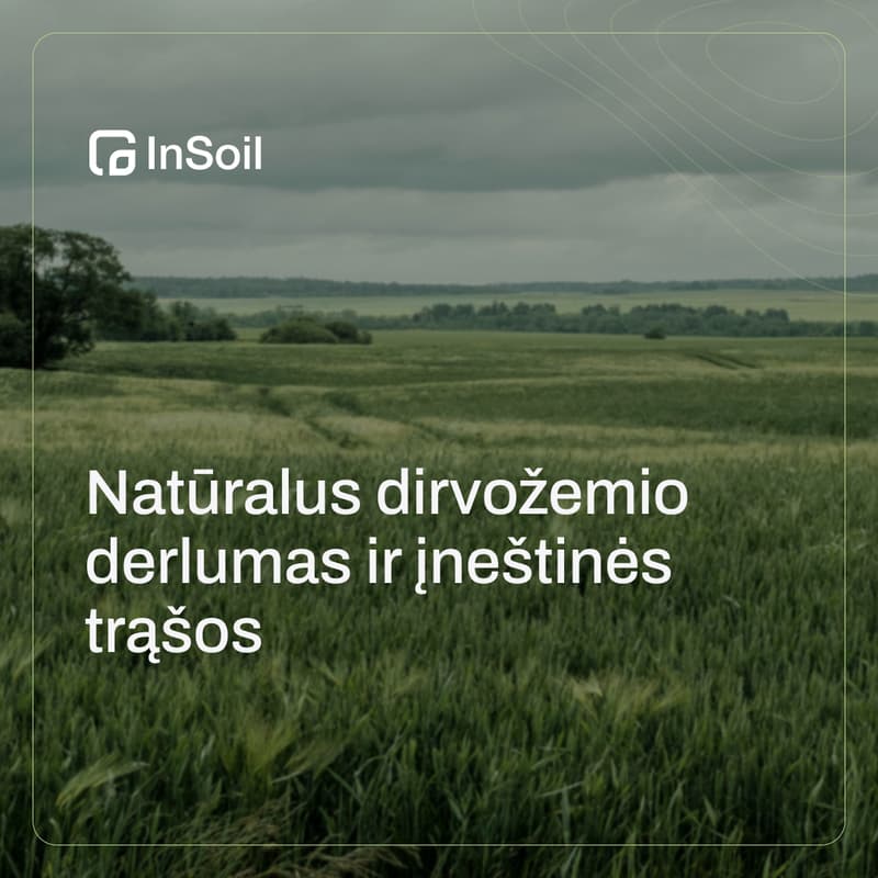 Cover Image for Natūralus dirvožemio derlumas ir įneštinės trąšos