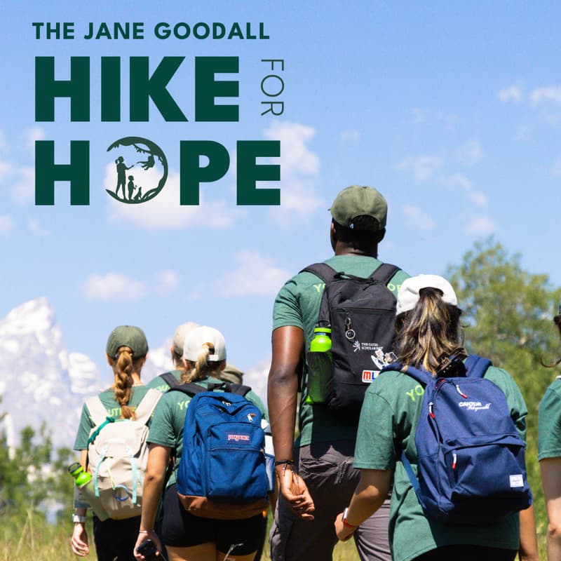 Cover Image for Hike for Hope - Chicago Basecamp Event