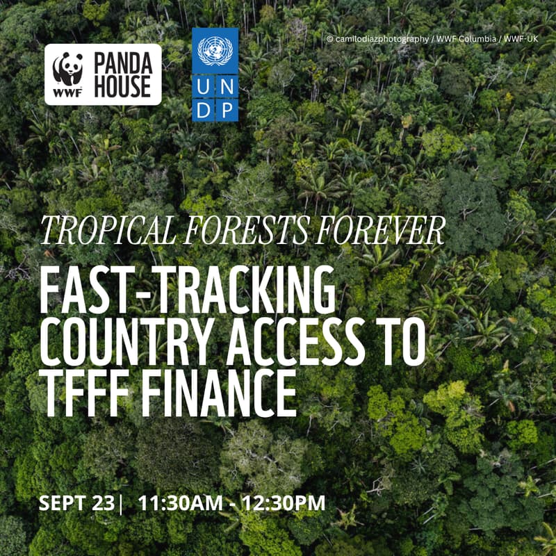 Cover Image for Tropical Forests Forever: Fast-Tracking Country Access to TFFF Finance