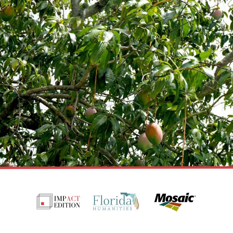 Cover Image for Sweet, Sweet Connection: Live Reading Picnic & Garden Tour