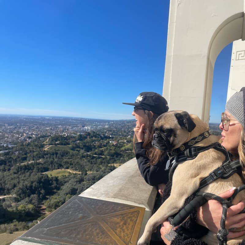 Cover Image for Kindred Los Angeles: Griffith Park Hike for Women Travelers