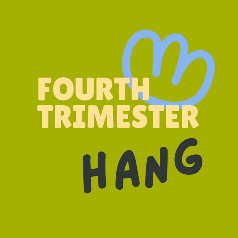 Cover Image for Fourth Trimester Hang