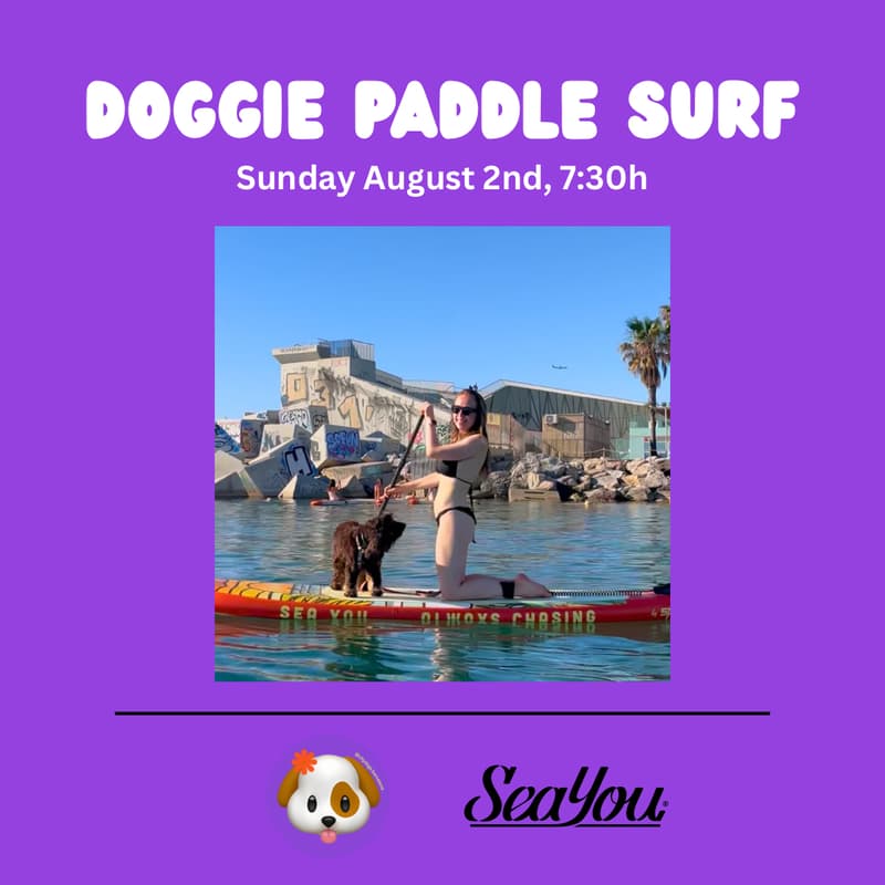 Cover Image for DOGGIE PADDLE SURF