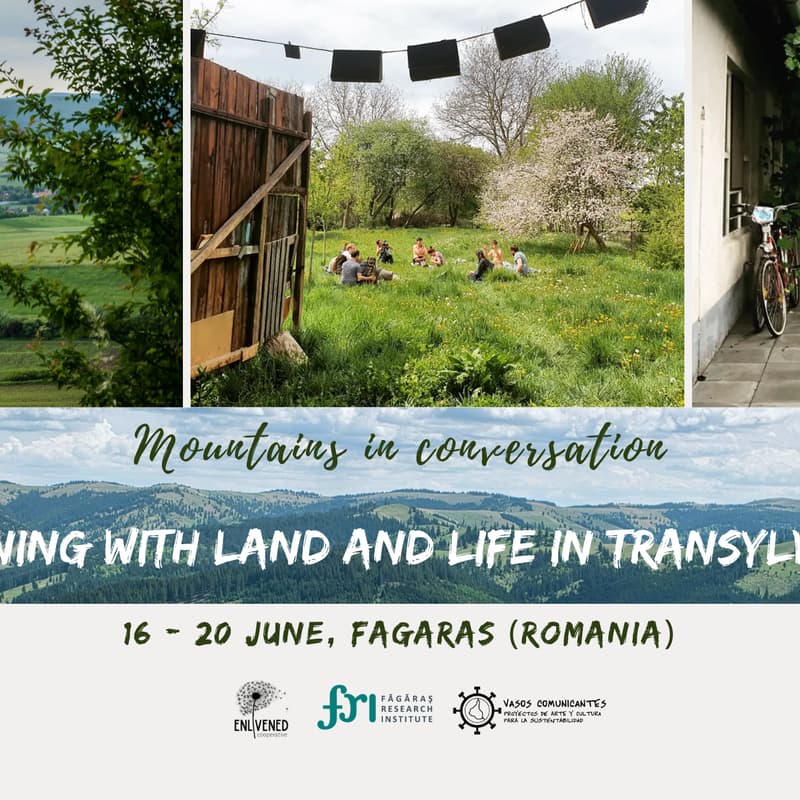 Cover Image for Learning with Land and Life in Transylvania: Mountains in conversation