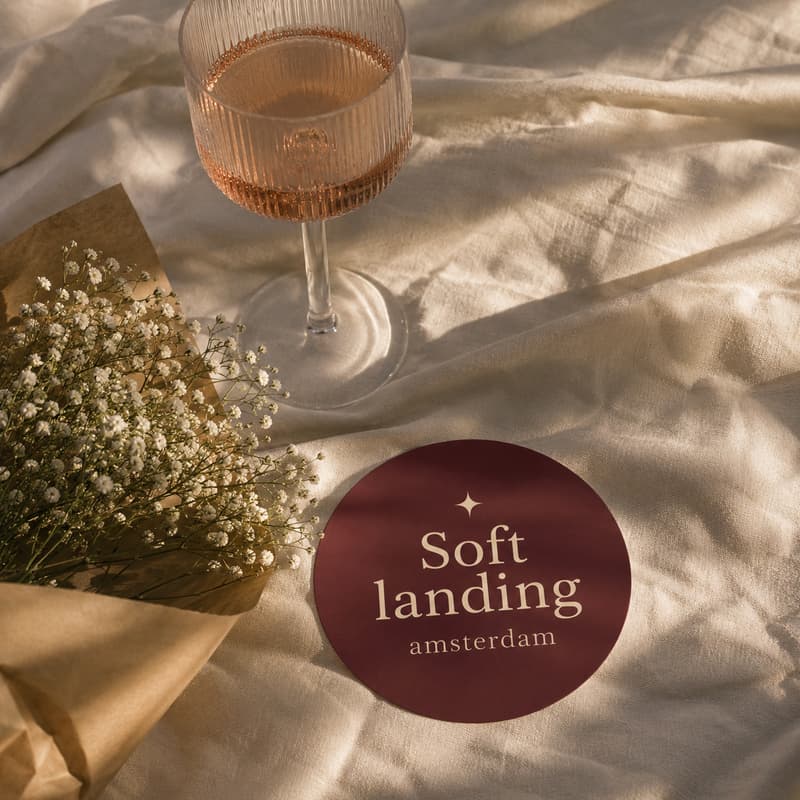 Cover Image for Soft Landing Picnic #001