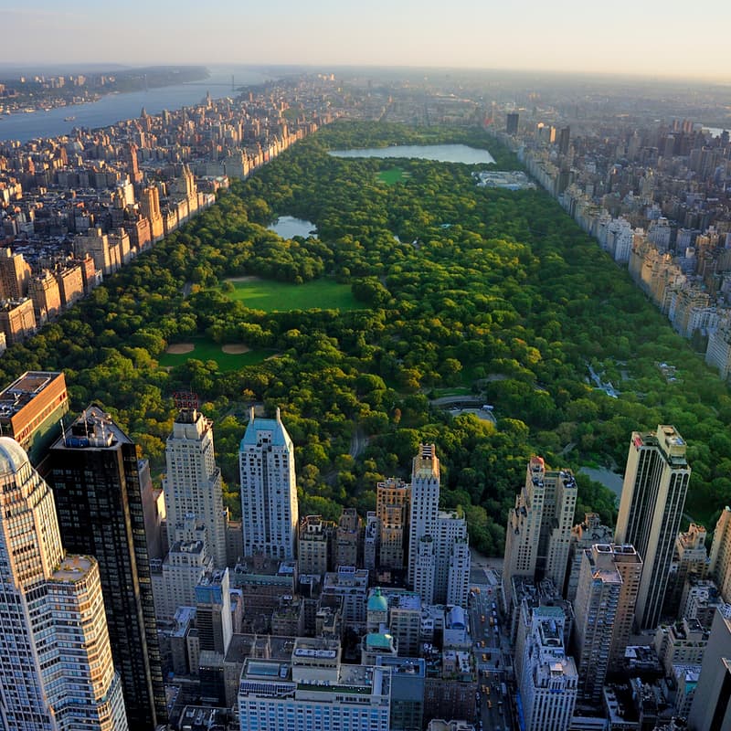 Cover Image for New York City Reception