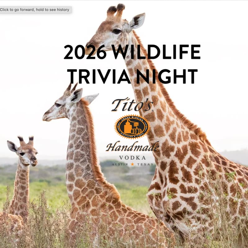 Cover Image for Wildlife Trivia with Wild Tomorrow