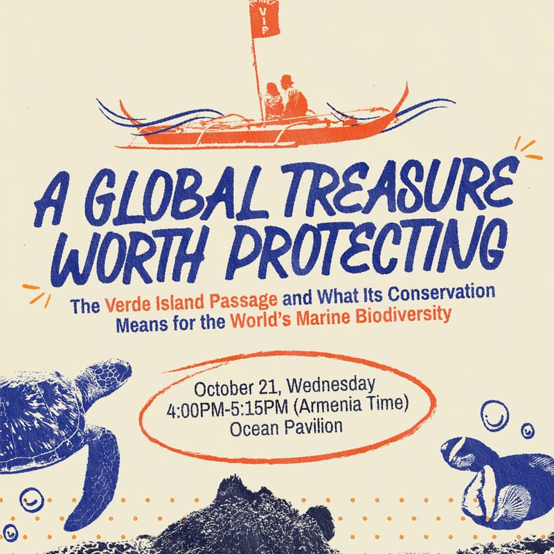 Cover Image for A Global Treasure Worth Protecting: The Verde Island Passage and What Its Conservation Means for the World’s Marine Biodiversity