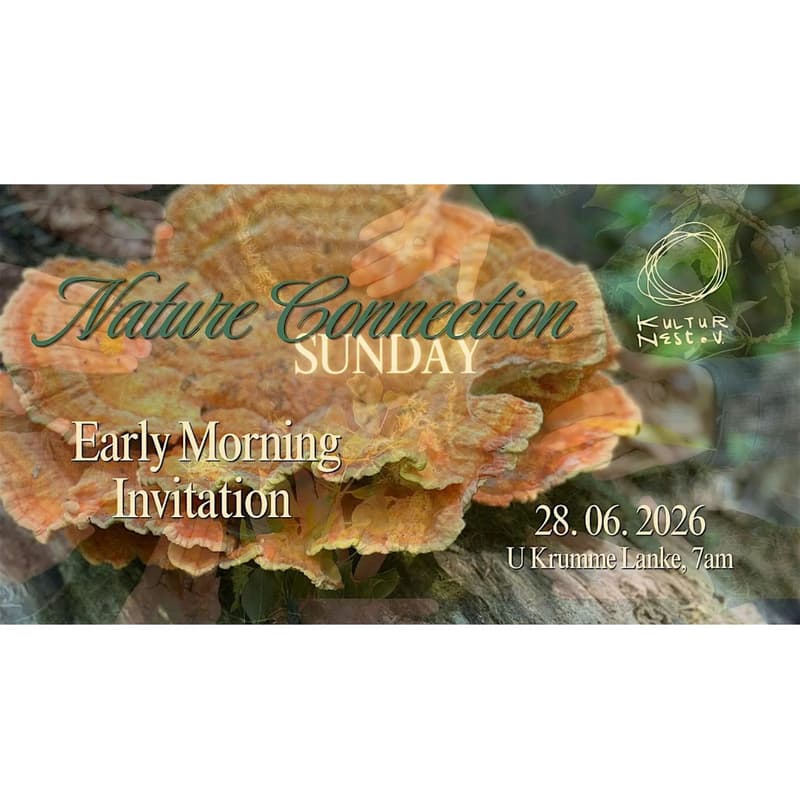 Cover Image for Nature Connection Sunday