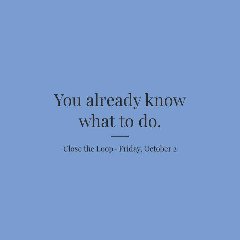 Cover Image for Close the Loop