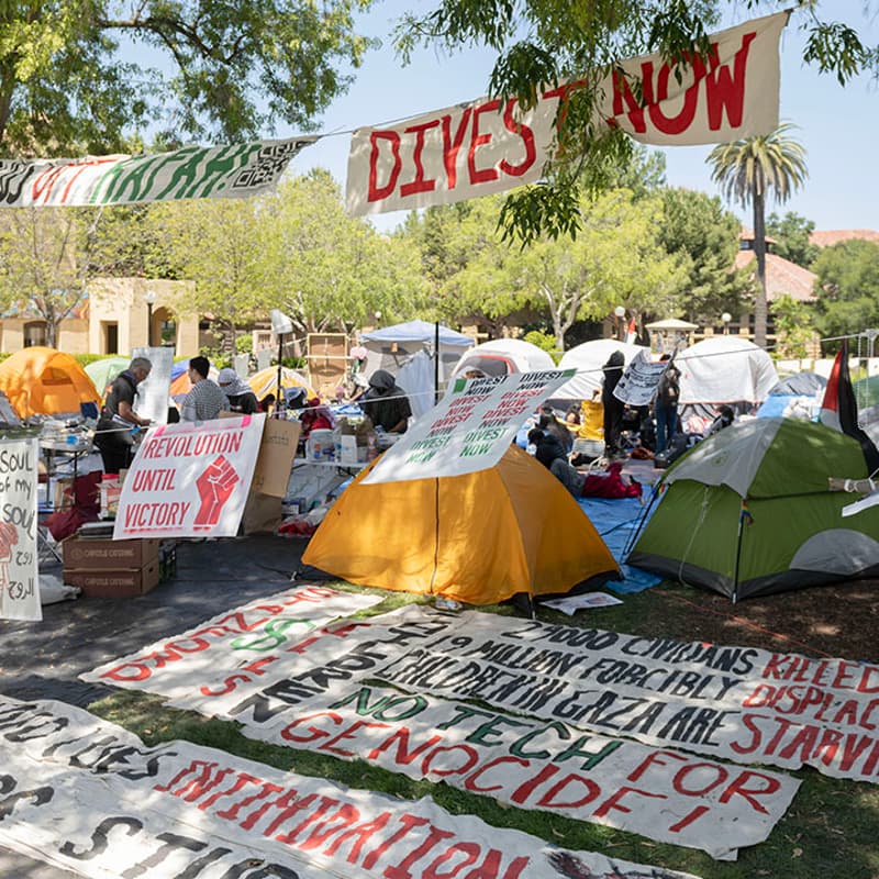 Cover Image for Activist Tour