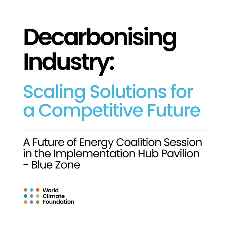 Cover Image for Decarbonising Industry: Scaling Solutions for a Competitive Future
