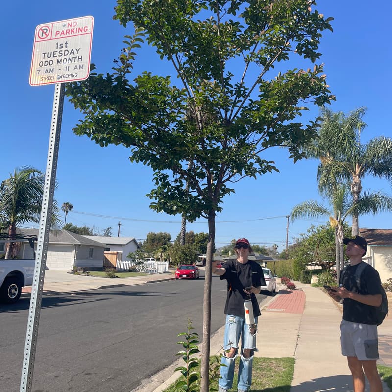 Cover Image for ParkBlitz: Applications of iNaturalist and Survey123 in urban forestry