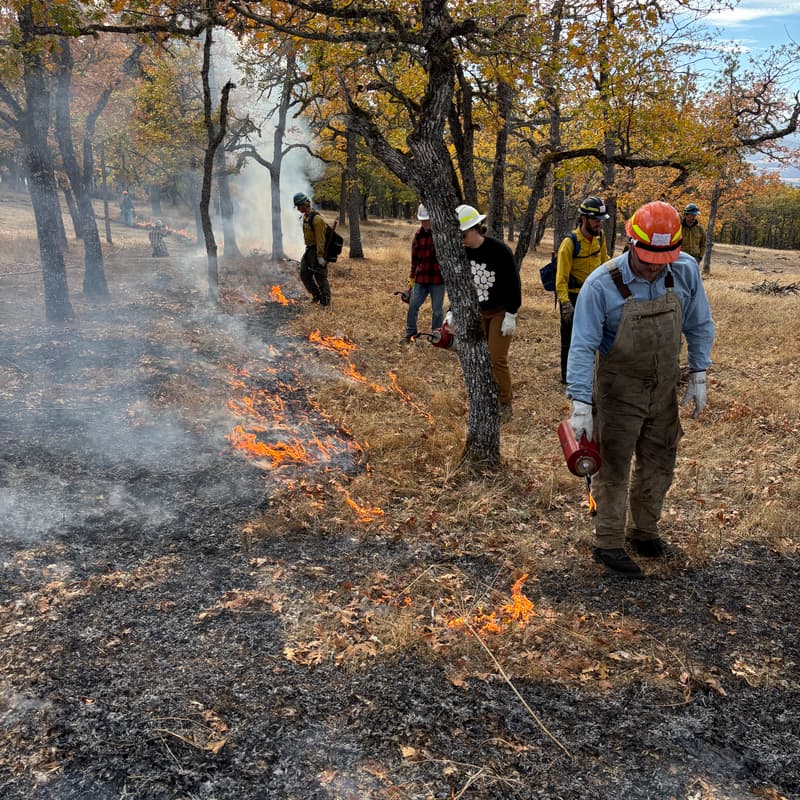 Cover Image for Mt. Adams PBA burn - Schneider Prescribed Burn