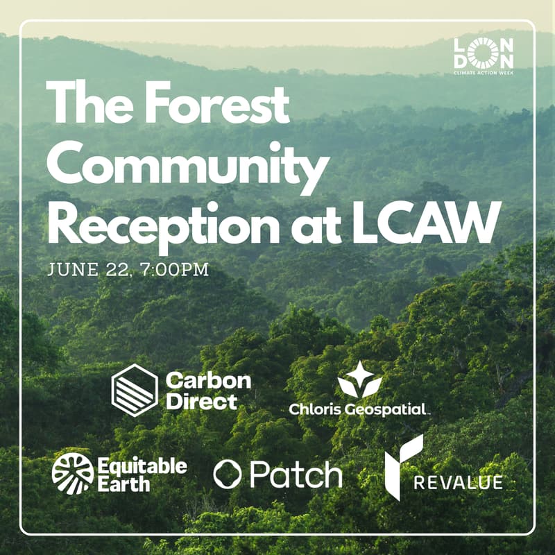 Cover Image for The Forest Community Reception at LCAW