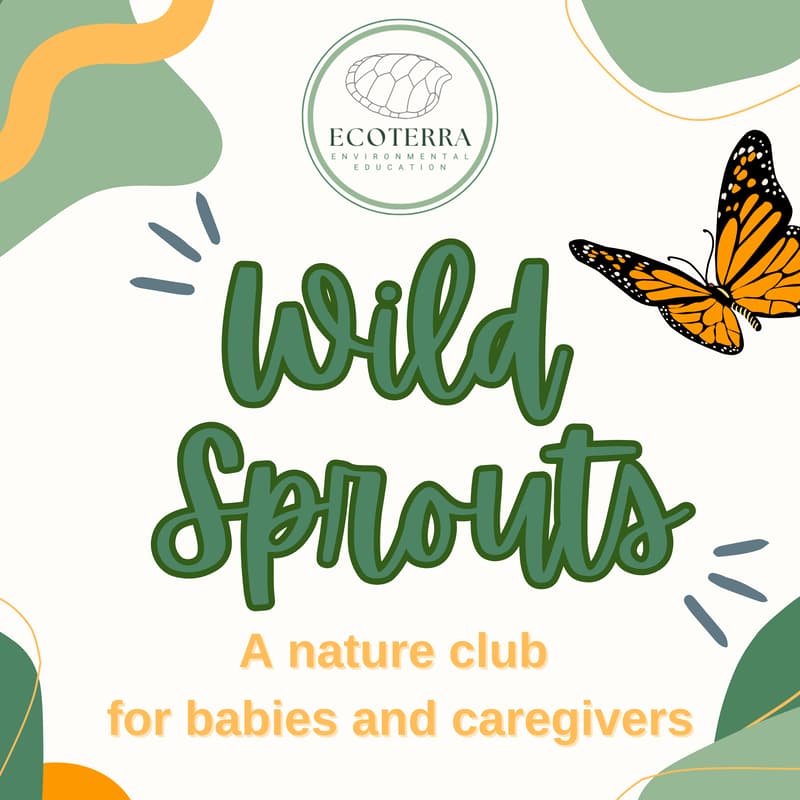 Cover Image for Wild Sprouts: Ages 0-1