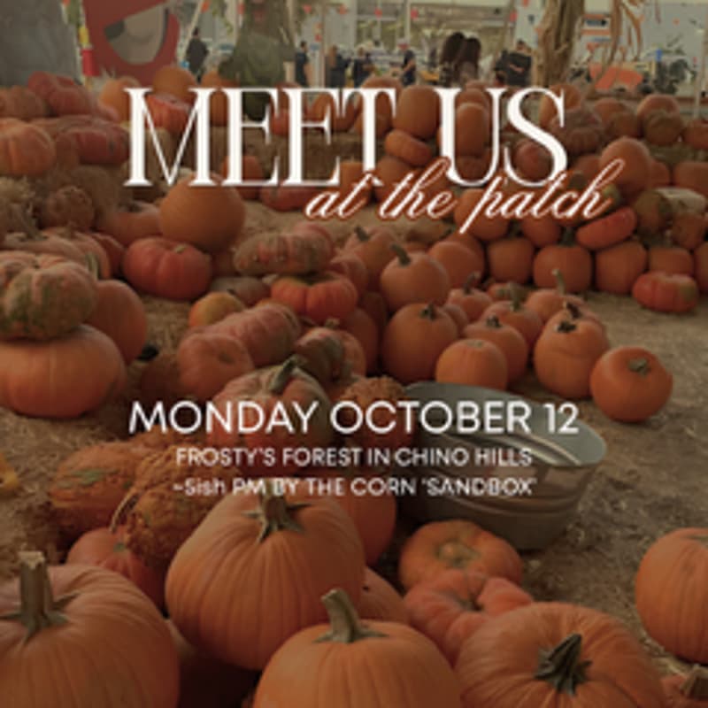 Cover Image for PMM PUMPKIN PATCH