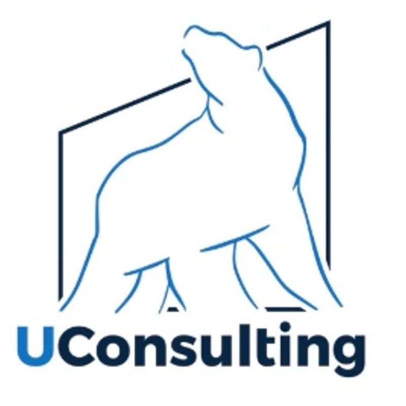 Cover Image for UConsulting Case Workshop