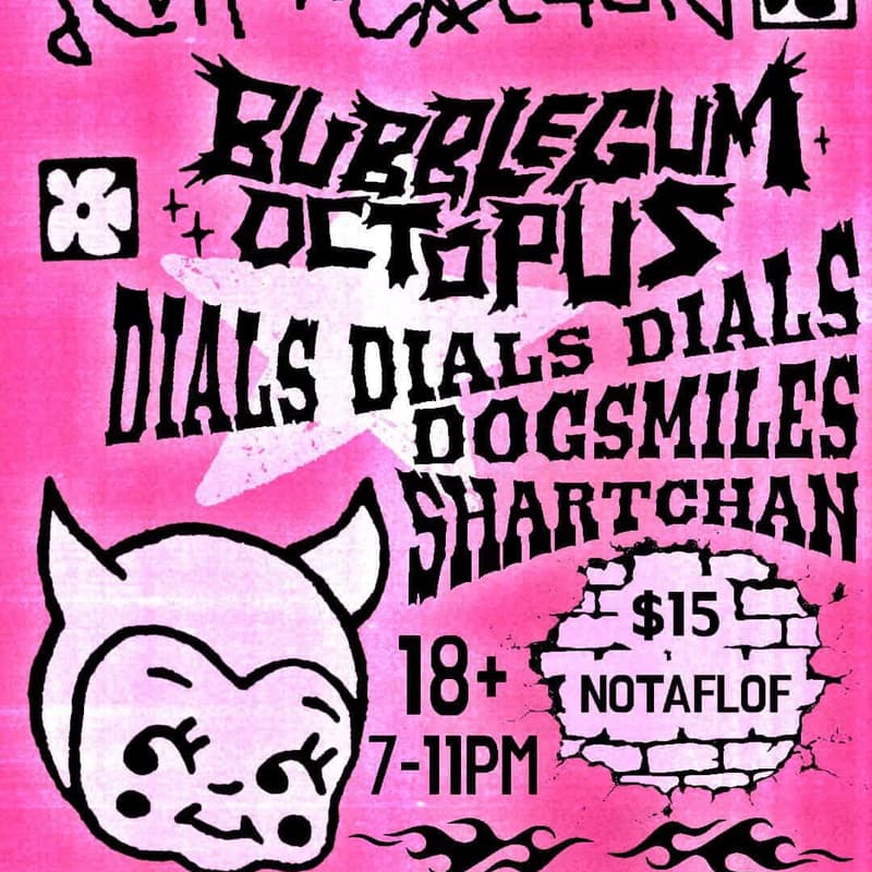 Cover Image for Bubblegum Octopus, Doge Smiile, Girl Rituals, DialsDialsDials, and DJ set by ShartChan