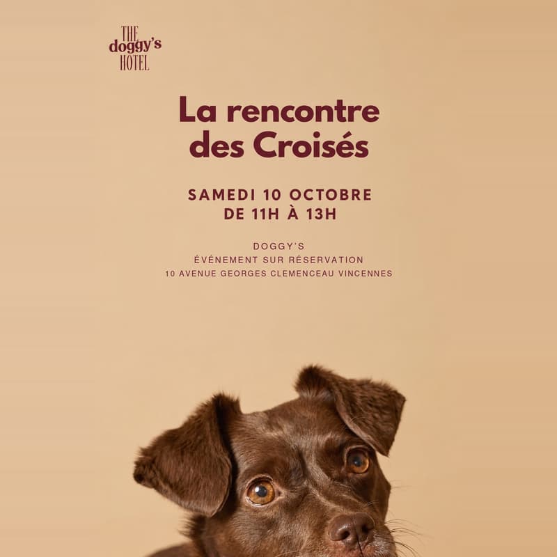 Cover Image for La Rencontre Des Croisés