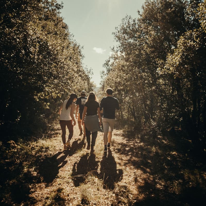 Cover Image for The Soil Hangout 2026