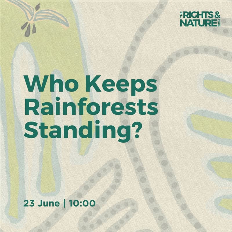Cover Image for Who Keeps Rainforests Standing?
