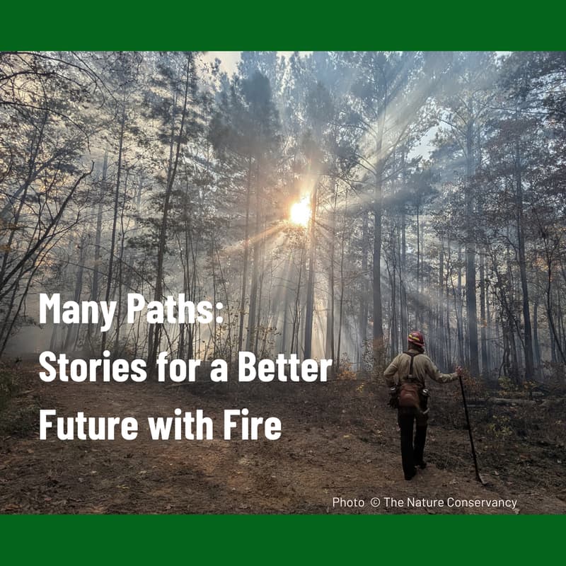 Cover Image for Many Paths: Stories for a Better Future with Fire – An Interactive Screening