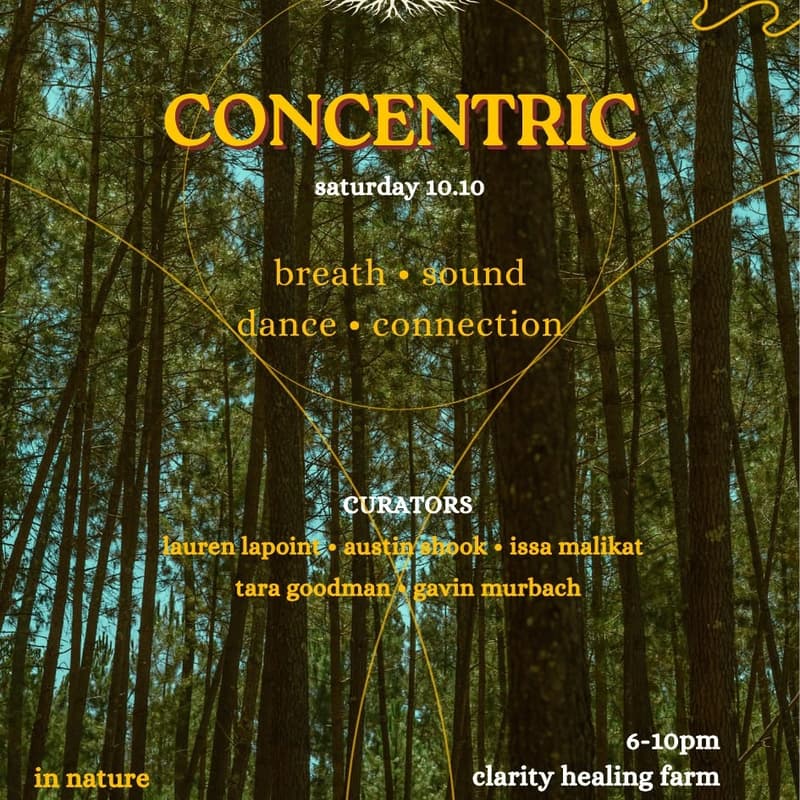 Cover Image for Concentric